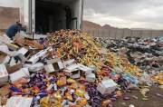 ۱۱ تن مواد غذایی فاسد در کاشان و آرانوبیدگل امحا شد ۱۱ تن مواد غذایی فاسد در کاشان و آرانوبیدگل امحا شد