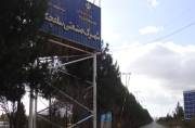 کمبود خوراک، گره ارزی و تأمین مالی،سه چالش عمده تولید کمبود خوراک، گره ارزی و تأمین مالی،سه چالش عمده تولید