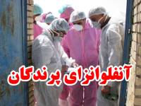 پایش زیستگاه‌های حیات‌وحش خدابنده برای پیشگیری از آنفلوانزای پرندگان