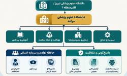 آسیب شناسی تصمیم گیری و بوروکراتیک از ستاد کلان تا کف میدان عمل علوم پزشکی مراغه آسیب شناسی تصمیم گیری و بوروکراتیک از ستاد کلان تا کف میدان عمل علوم پزشکی مراغه