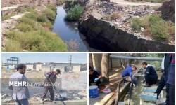 تشکیل ۱۱ پرونده قضایی برای متخلفان زیستمحیطی در قدس تشکیل ۱۱ پرونده قضایی برای متخلفان زیستمحیطی در قدس