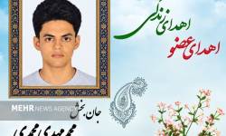 نوجوان ۱۶ ساله قلعه‌نو خرقان به چند بیمار زندگی بخشید