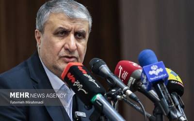 Iranian nation to never surrender: AEOI chief says