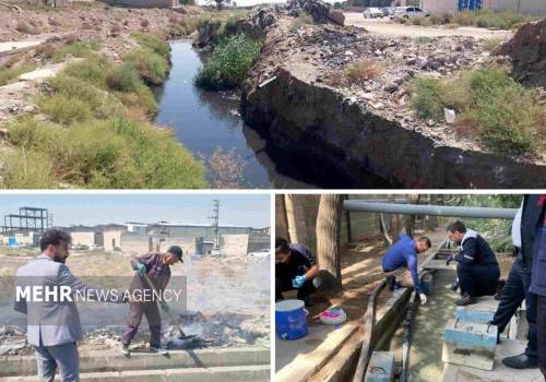 تشکیل ۱۱ پرونده قضایی برای متخلفان زیستمحیطی در قدس تشکیل ۱۱ پرونده قضایی برای متخلفان زیستمحیطی در قدس